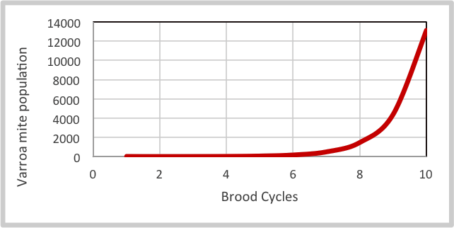 Left untreated varroa mites will expand exponentially and overwhelm a colony