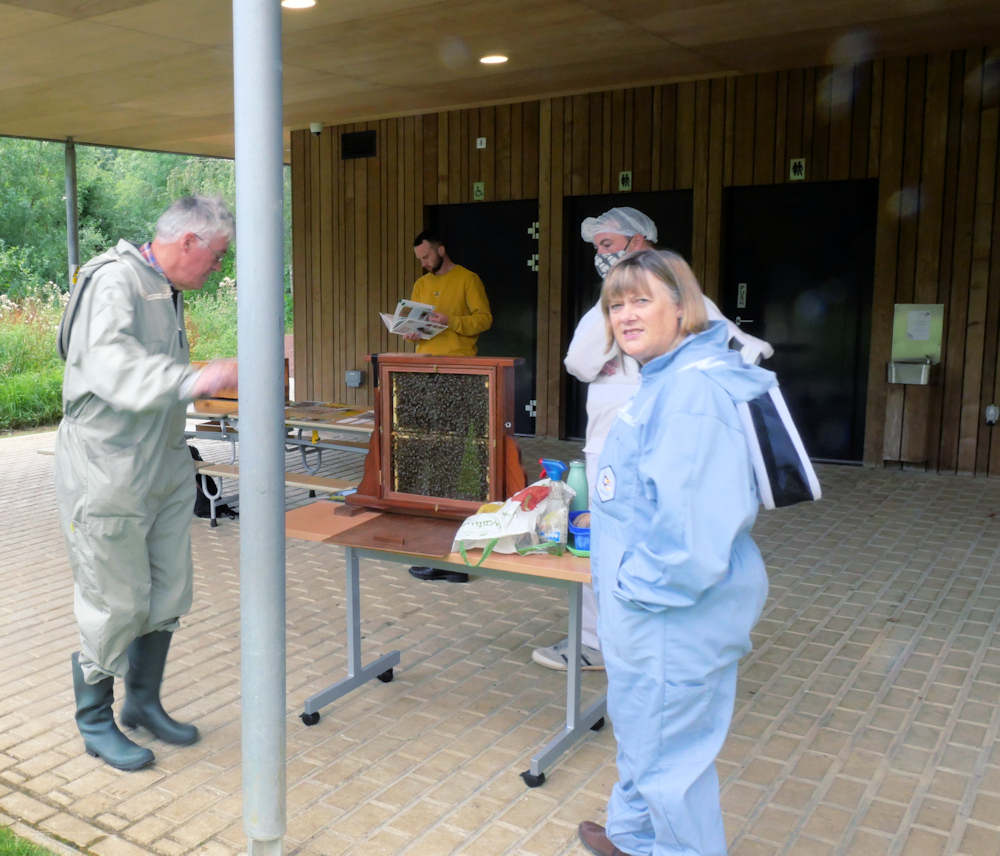 OBKA team at Science Oxford Family Bee Day