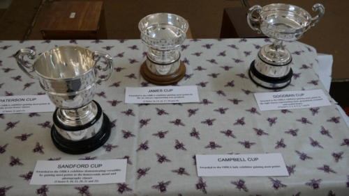 Some of the OBKA cups ready for the winning