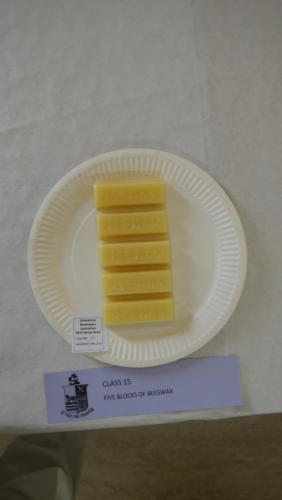 Class 15: Five blocks of beeswax