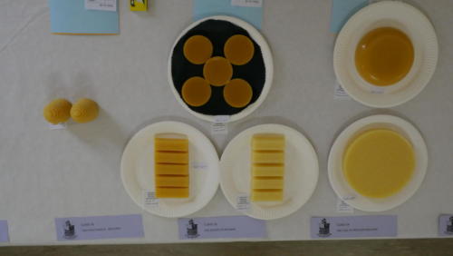 Class 16: 2 wax candles; Class 15: 5 blocks of beeswax and Class 14: 1 cake of moulded beeswax